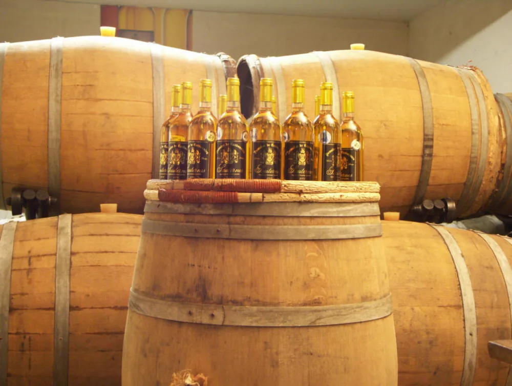 Domaine de Carbonnieu à Bommes, Gironde (33)
