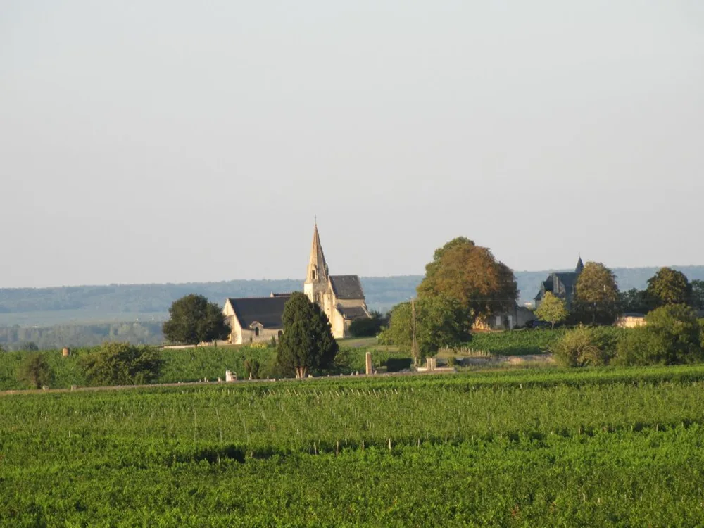 Domaine de Rocheville à Artannes-sur-Thouet, Maine-et-Loire (49)