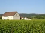 Domaine Durand à Fixin, Côte-d'Or (21)