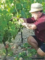 Domaine de Pecoulas à Lagorce, Ardèche (07)