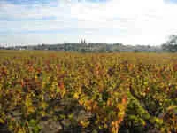 Domaine de la Plaigne à Régnié-Durette, Rhône (69)