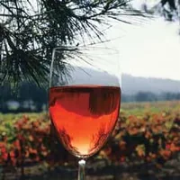 Domaine de la Vallongue à Eygalières, Bouches-du-Rhône (13)