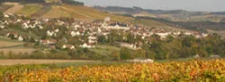 Domaine Verret à Saint-Bris-le-Vineux, Yonne (89)