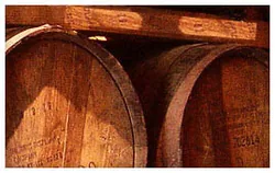 Domaine de Grabieou à Maumusson-Laguian, Gers (32)