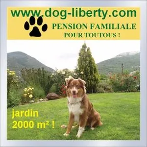 Dog Liberty à Escragnolles, Alpes-Maritimes (06)