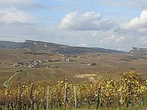 Domaine Abelanet Laneyrie à Chaintré, Saône-et-Loire (71)