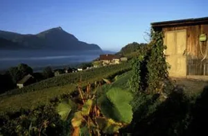 Domaine Belluard à Ayse, Haute-Savoie (74)