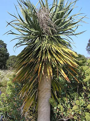 Domaine du Rayol à Rayol-Canadel-sur-Mer, Var (83)
