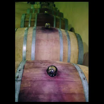 Domaine de la Brillane à Aix-en-Provence, Bouches-du-Rhône (13)