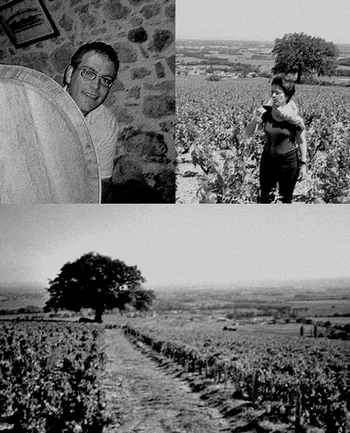Domaine des Roches du Py à Villié-Morgon, Rhône (69)