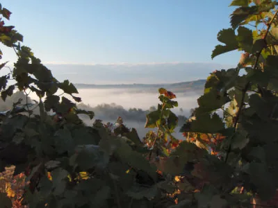 Domaine des Costes Rouges à Nauviale, Aveyron (12)