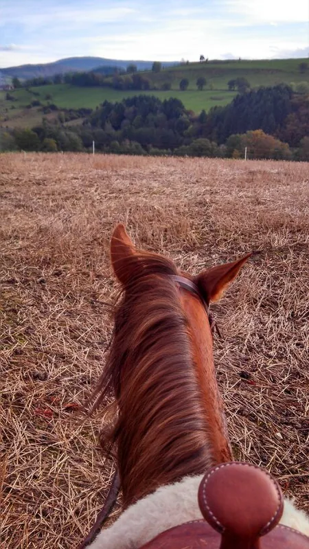 randier farm
