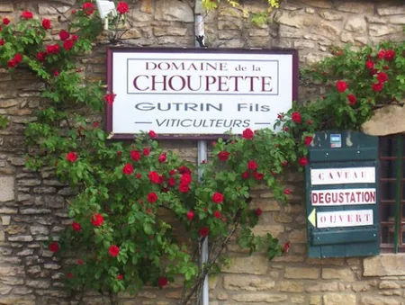 Domaine de la Choupette à Santenay, Côte-d'Or (21)