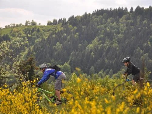 Dom Breusch - Guide Moniteur Vtt à Gérardmer, Vosges (88)