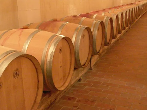 Domaine Lafond Roc-Épine à Tavel, Gard (30)