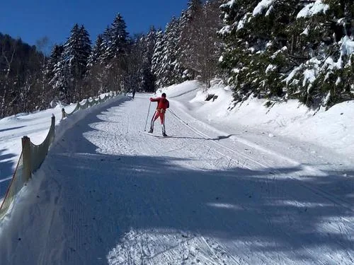 Domaine Nordique de Ventron à Ventron, Vosges (88)