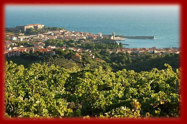 Domaine Manya Puig
