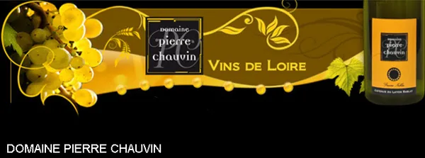 Domaine Pierre Chauvin à Rablay-sur-Layon, Maine-et-Loire (49)
