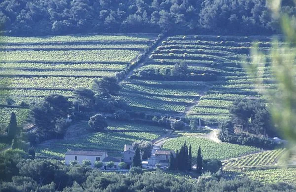 Domaine du Paternel à Cassis, Bouches-du-Rhône (13)