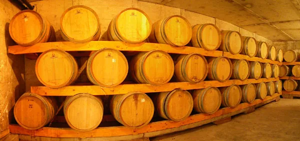 Domaine du Petit Chaumont à Aigues-Mortes, Gard (30)