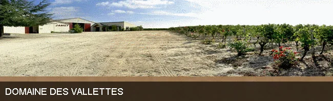 Domaine des Vallettes à Saint-Nicolas-de-Bourgueil, Indre-et-Loire (37)