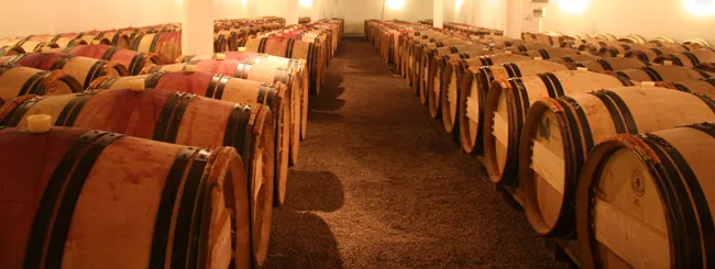 Domaine les Grandes Vignes à Thouarcé, Maine-et-Loire (49)