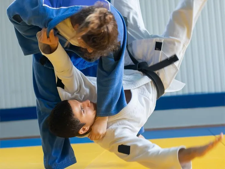 Dojo de Thionville et Élange à Thionville, Moselle (57)