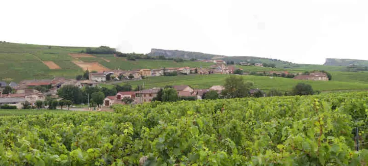 Domaine Trouillet à Solutré-Pouilly, Saône-et-Loire (71)