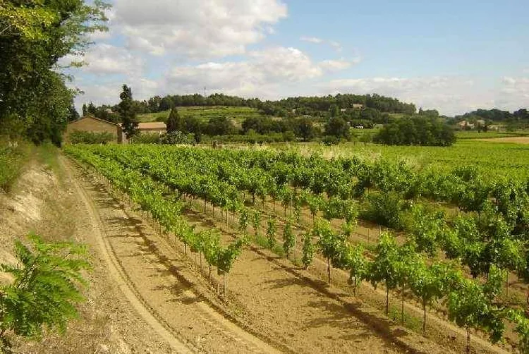 Domaine de Laplagnol à Pont-Saint-Esprit, Gard (30)