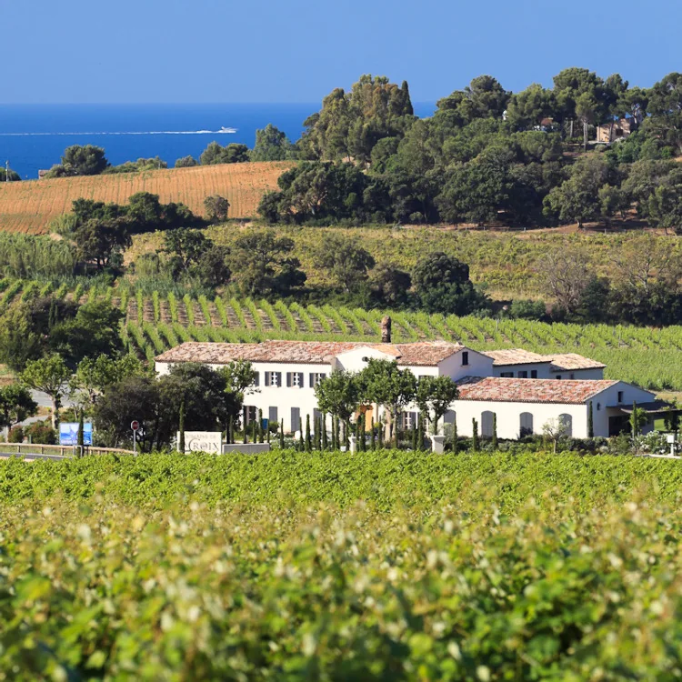 Domaine de la Croix Cru Classe à La Croix-Valmer, Var (83)