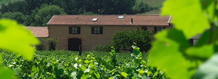 Domaine du Vissoux à Saint-Vérand, Rhône (69)