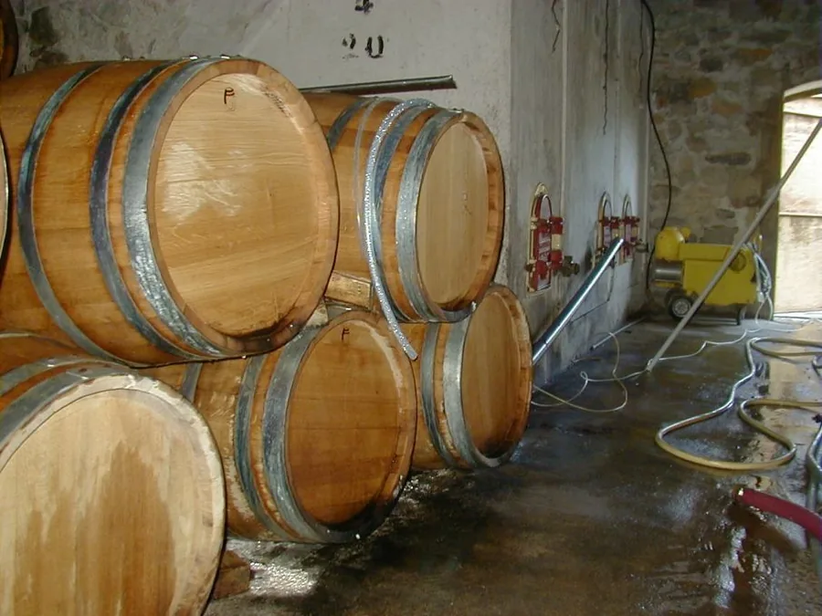 Domaine de Coste Plane à Cannes-et-Clairan, Gard (30)