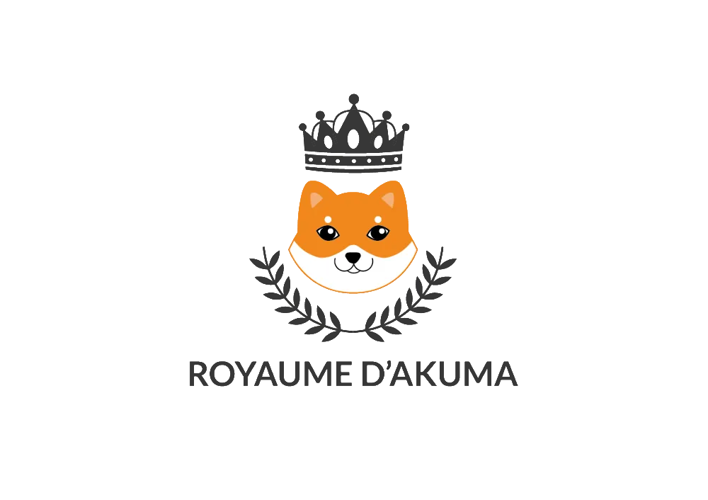 Du Royaume d'Akuma à Nancy, Meurthe et Moselle (54)