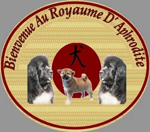 Du Royaume d'Aphrodite à Garnat-sur-Engièvre, Allier (03)