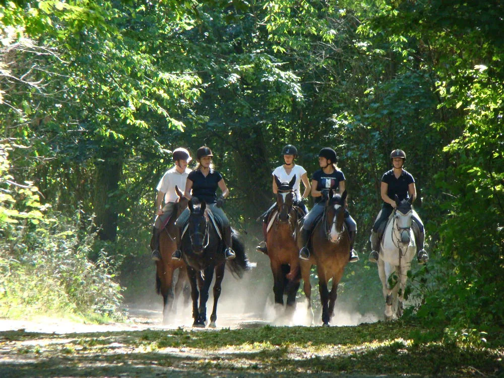 Ecole d'Equitation Ledermann à Huest, Eure (27)