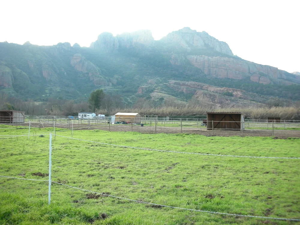 Ecurie de l'Arena à Roquebrune-sur-Argens, Var (83)
