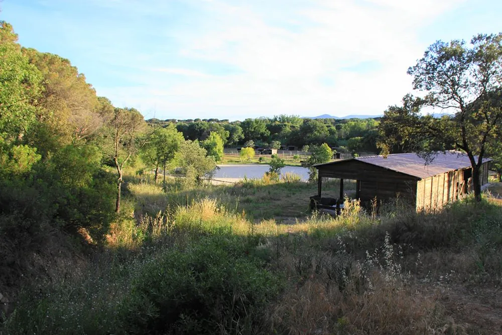 Ecurie du Derby à Puget-sur-Argens, Var (83)