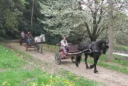 Ecurie Barbarin à Civrieux-d'Azergues, Rhône (69)