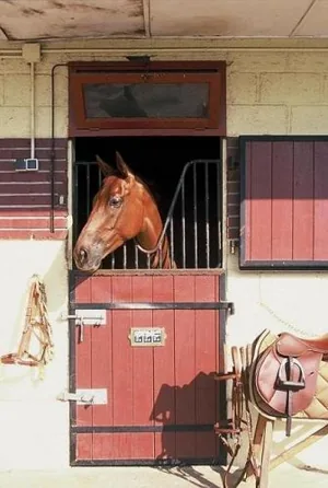 Écurie Philippe Alric à Maisons-Laffitte, Yvelines (78)