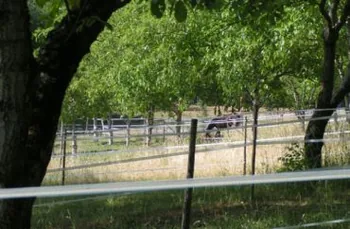 Ecuries de Novert à Malemort-sur-Corrèze, Corrèze (19)