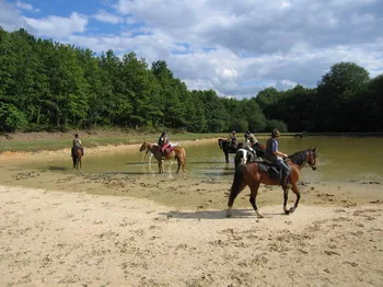 Ecuries de la Colinière à Cheverny, Loir-et-Cher (41)