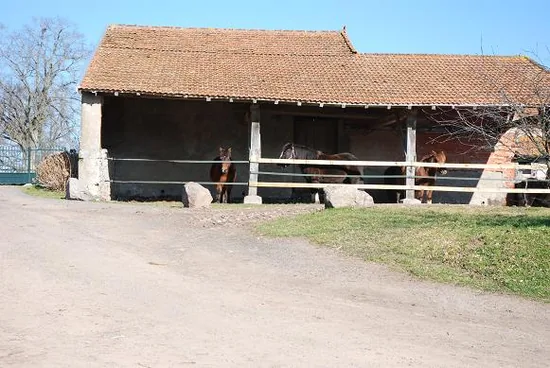Écuries du Pourret à Saint-Pierre-Laval, Allier (03)