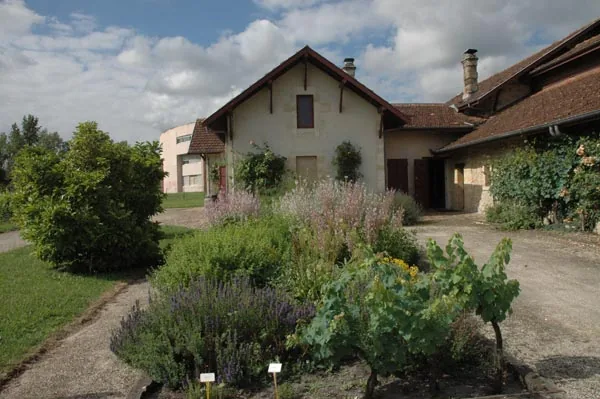 Ecomusée de la Vigne et du Vin à Gradignan, Gironde (33)
