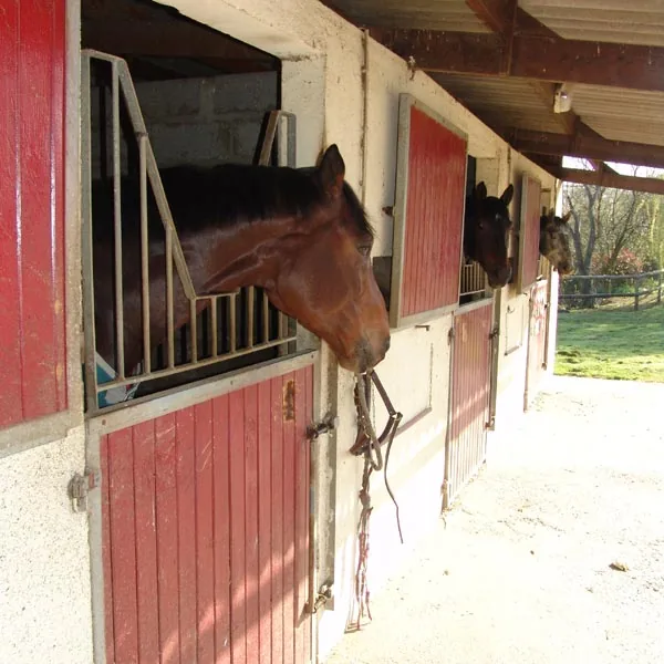 Écuries et École de Dressage le Chêne Day à Bruz, Ille-et-Vilaine (35)