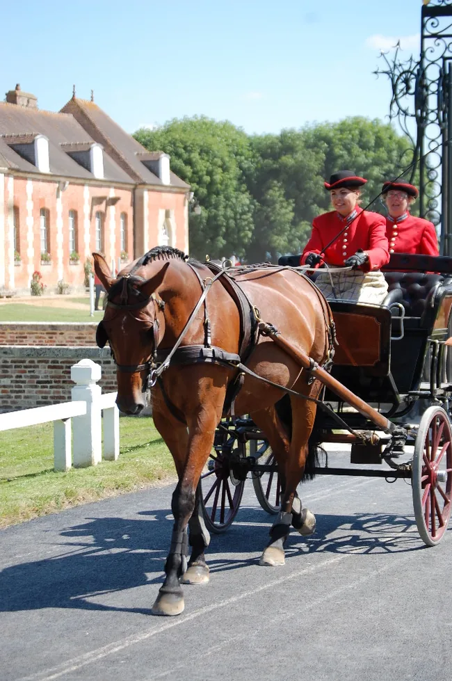 Ecole Nationale Professionnelle des Haras à Le Pin-au-Haras, Orne (61)