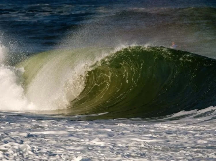 Ecole de Surf Authentique à Seignosse, Landes (40)