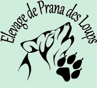 Elevage de Prana des Loups à Morêtel-de-Mailles, Isère (38)