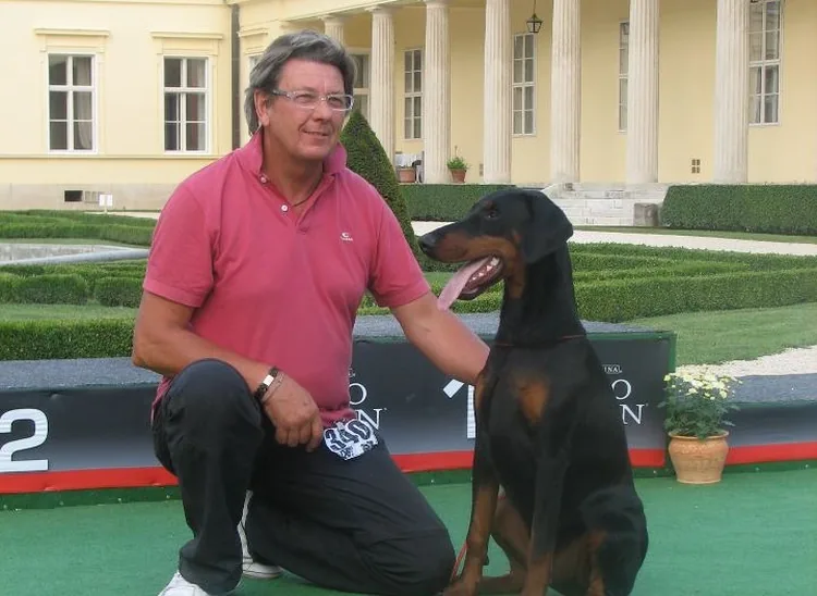 Elevage Dobermann des San Marin à Sin-le-Noble, Nord (59)