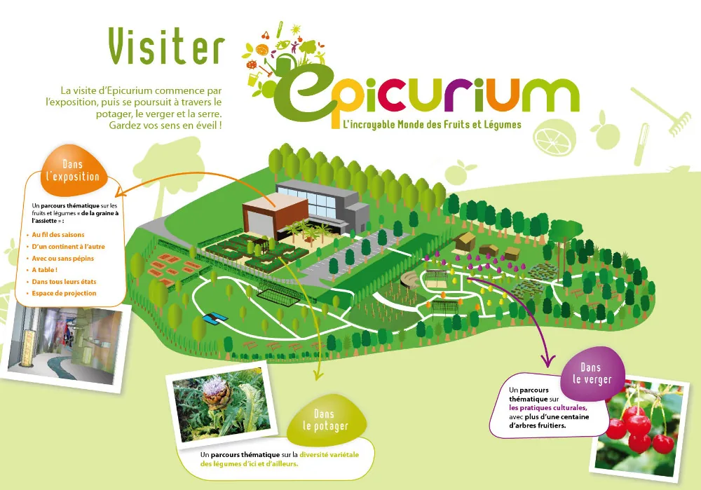 Epicurium en Avignon, Vaucluse (84)