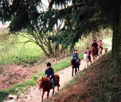 Equidétente à Laillé, Ille-et-Vilaine (35)